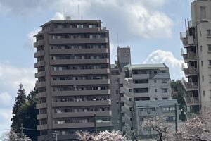 小学校からの眺望(周辺) 小学校からの眺望(周辺)